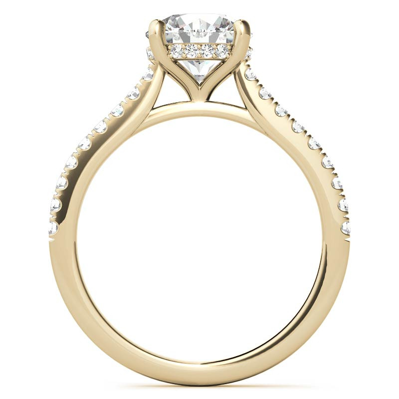 Cathedral & Collar Round Brilliant Moissanite Engagement Ring - eng071 ...