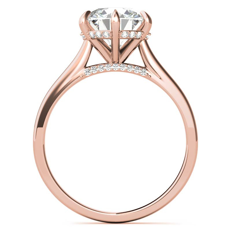 Round Brilliant Moissanite 6-Prong Cathedral Engagement Ring with ...